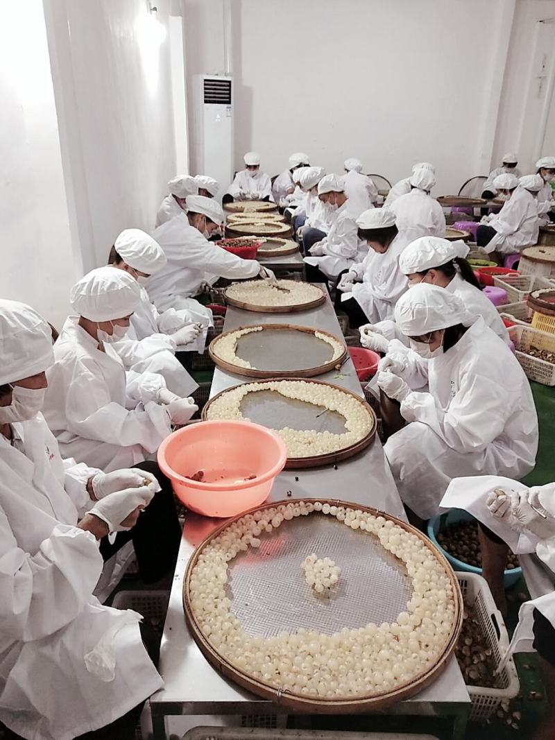 桂圆，桂圆干，桂圆肉，高州特产。粒粒皆辛苦，粒粒皆美肴