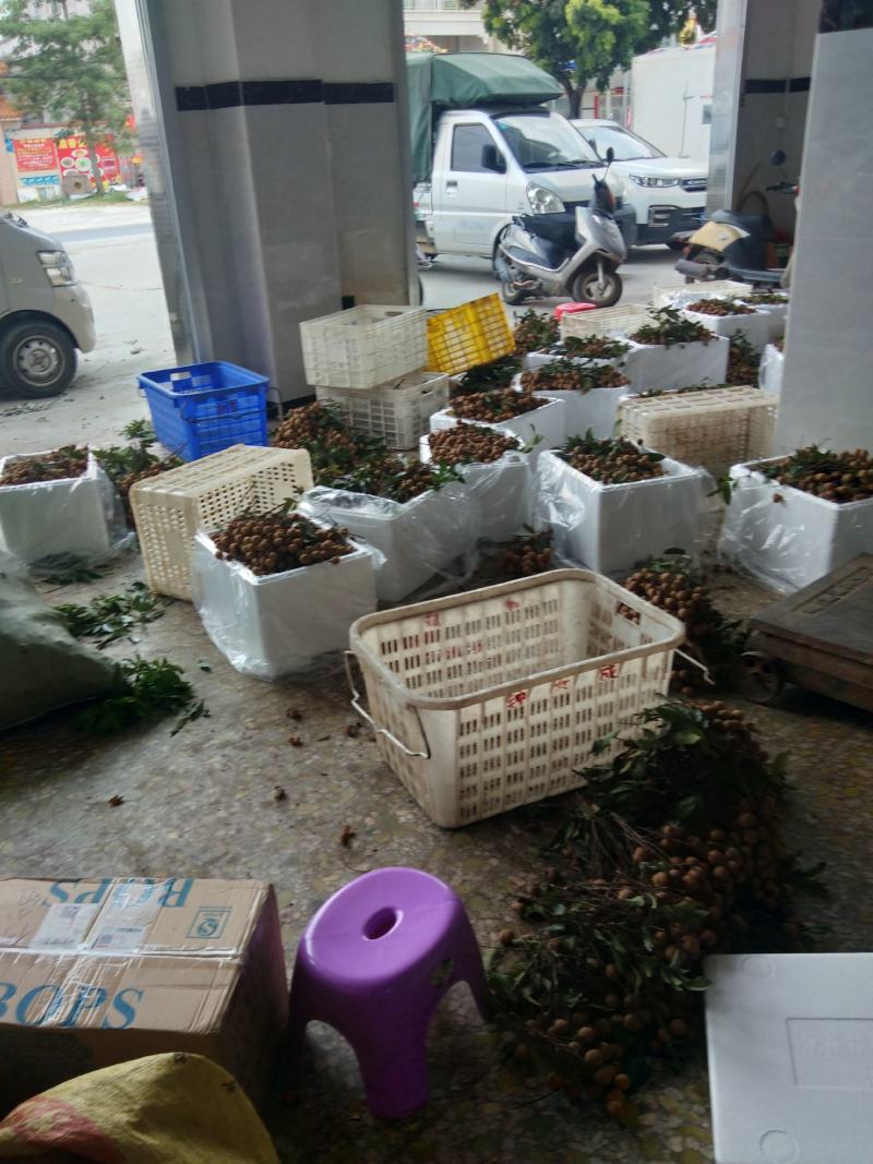 桂圆，桂圆干，桂圆肉，高州特产。粒粒皆辛苦，粒粒皆美肴