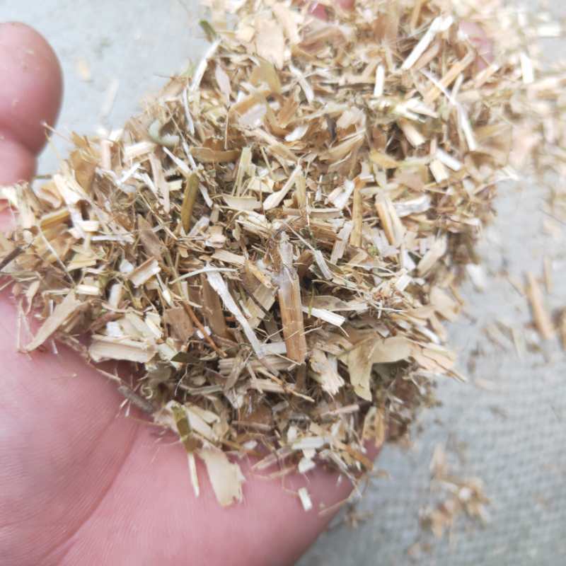 优质精选碗豆秧产地直供碗豆荚牛羊马驴好饲料全国发货