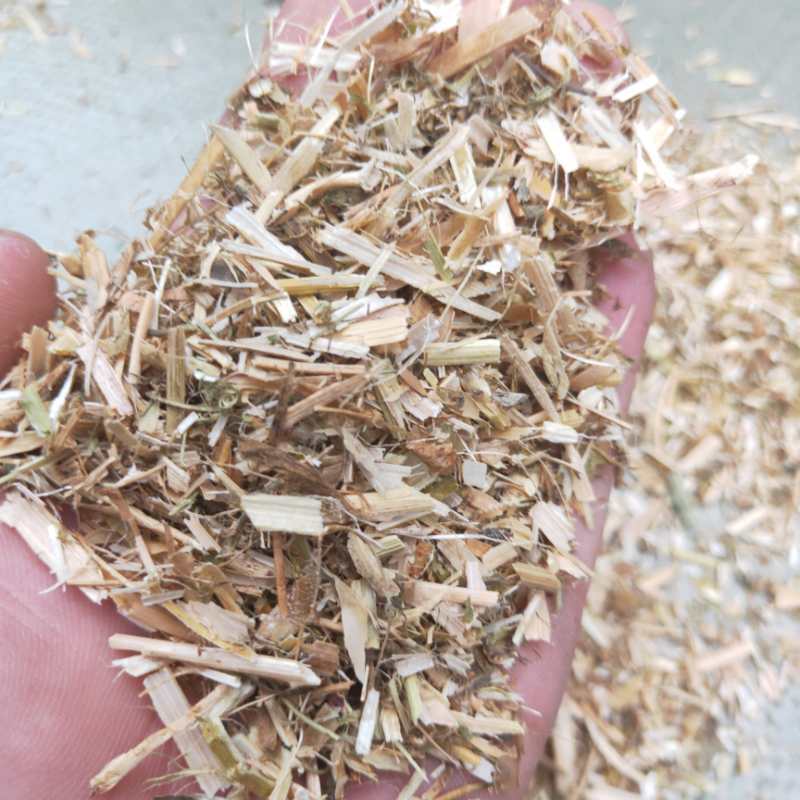 优质精选碗豆秧产地直供碗豆荚牛羊马驴好饲料全国发货