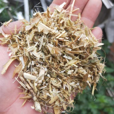 优质精选碗豆秧产地直供碗豆荚牛羊马驴好饲料全国发货