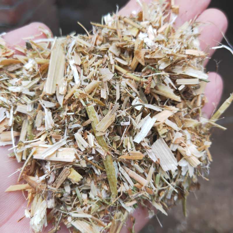 优质精选碗豆秧产地直供碗豆荚牛羊马驴好饲料全国发货