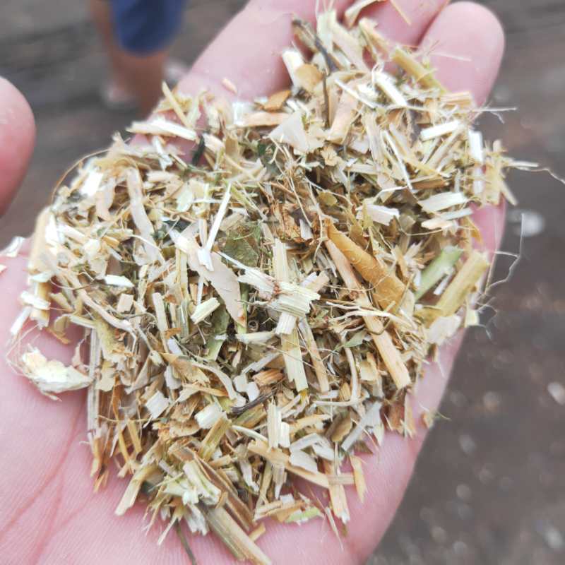 优质精选碗豆秧产地直供碗豆荚牛羊马驴好饲料全国发货