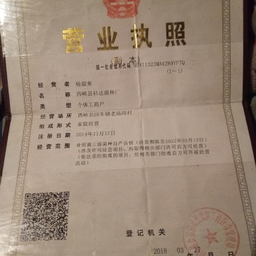 西峡县科达菌种厂！香菇菌种有9608/908/5号，