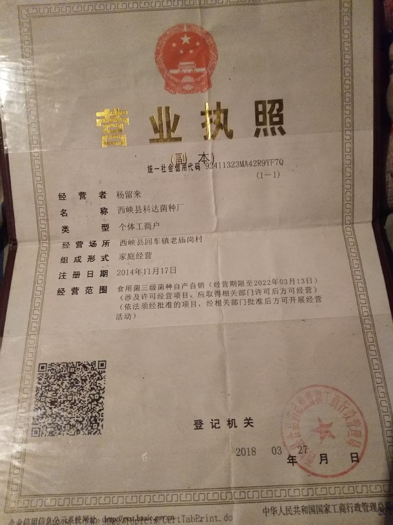 西峡县科达菌种厂！香菇菌种有9608/908/5号，