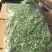 荠菜馅工厂全国批发：一件5斤*6袋一手货源