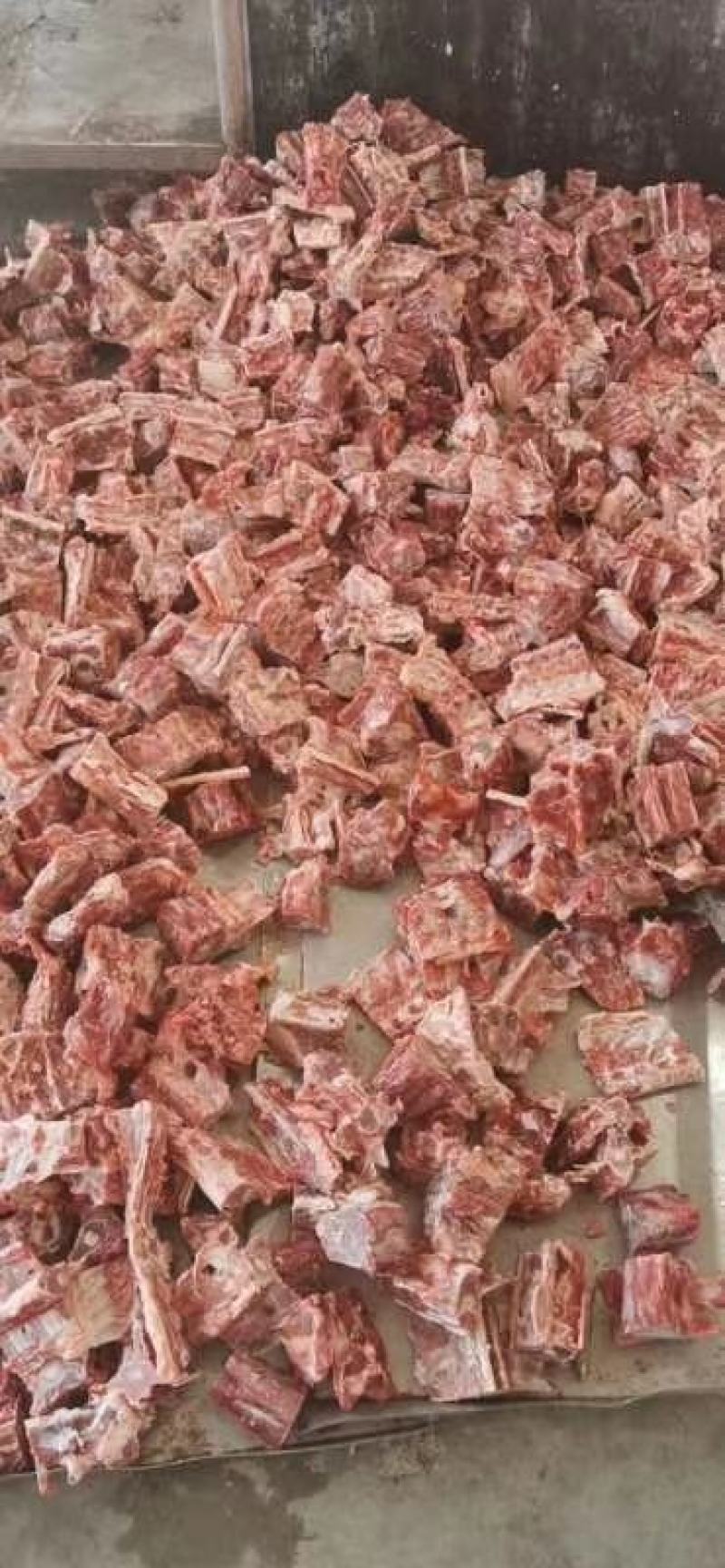 内蒙古锡林郭勒草原羔羊龙骨，肉大羊蝎子，