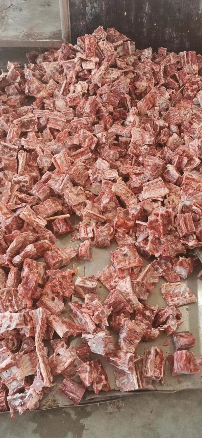 内蒙古锡林郭勒草原羔羊龙骨，肉大羊蝎子，