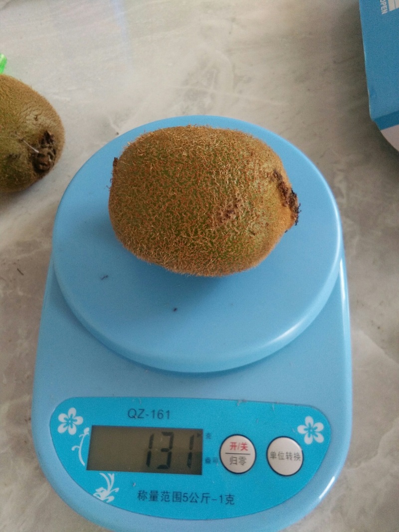 陕西汉中精品猕猴桃徐香，口感纯甜，大小均匀支持看货