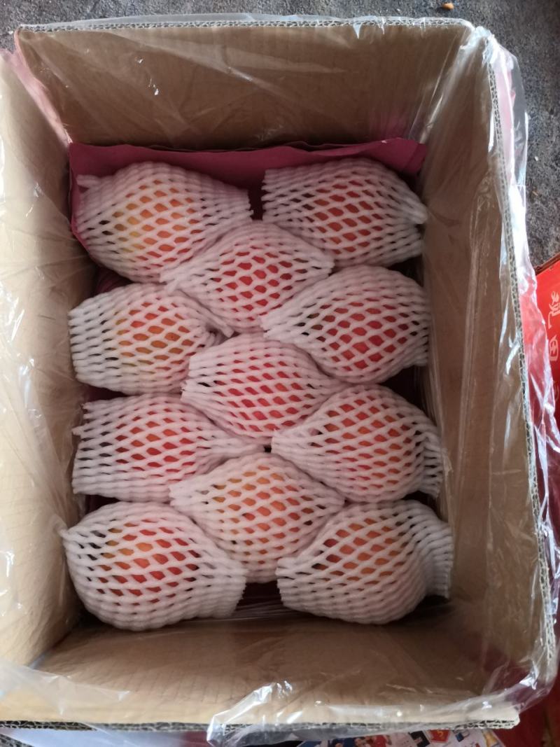突尼斯软籽石榴原产地直供支持物流整车，一件代发