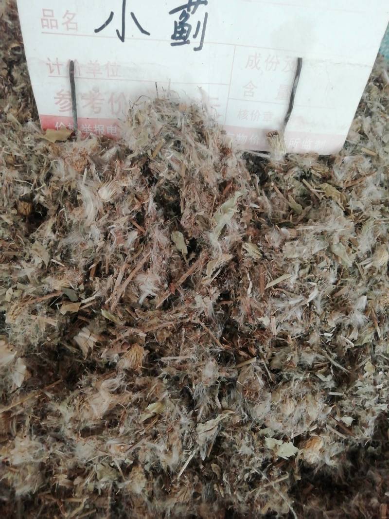 中药材小蓟小蓟草根小计七七牙刺儿菜水野红花