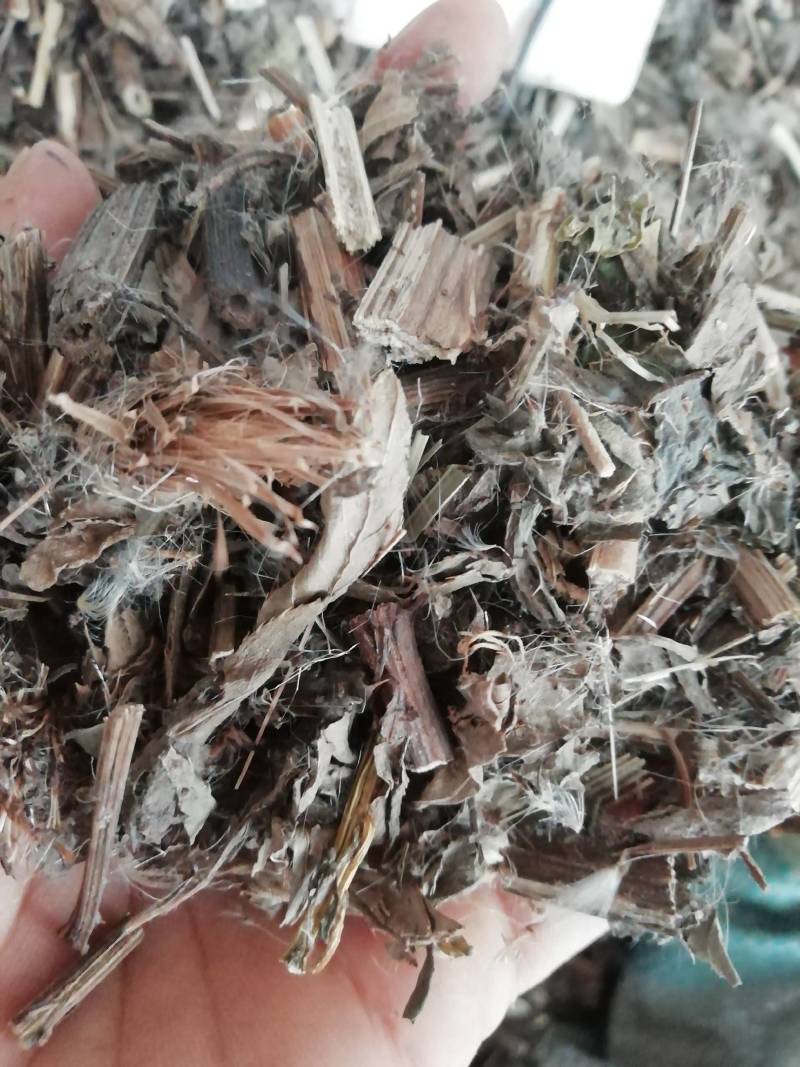 中药材野生大蓟草大蓟马蓟/虎蓟刺蓟野刺菜马刺