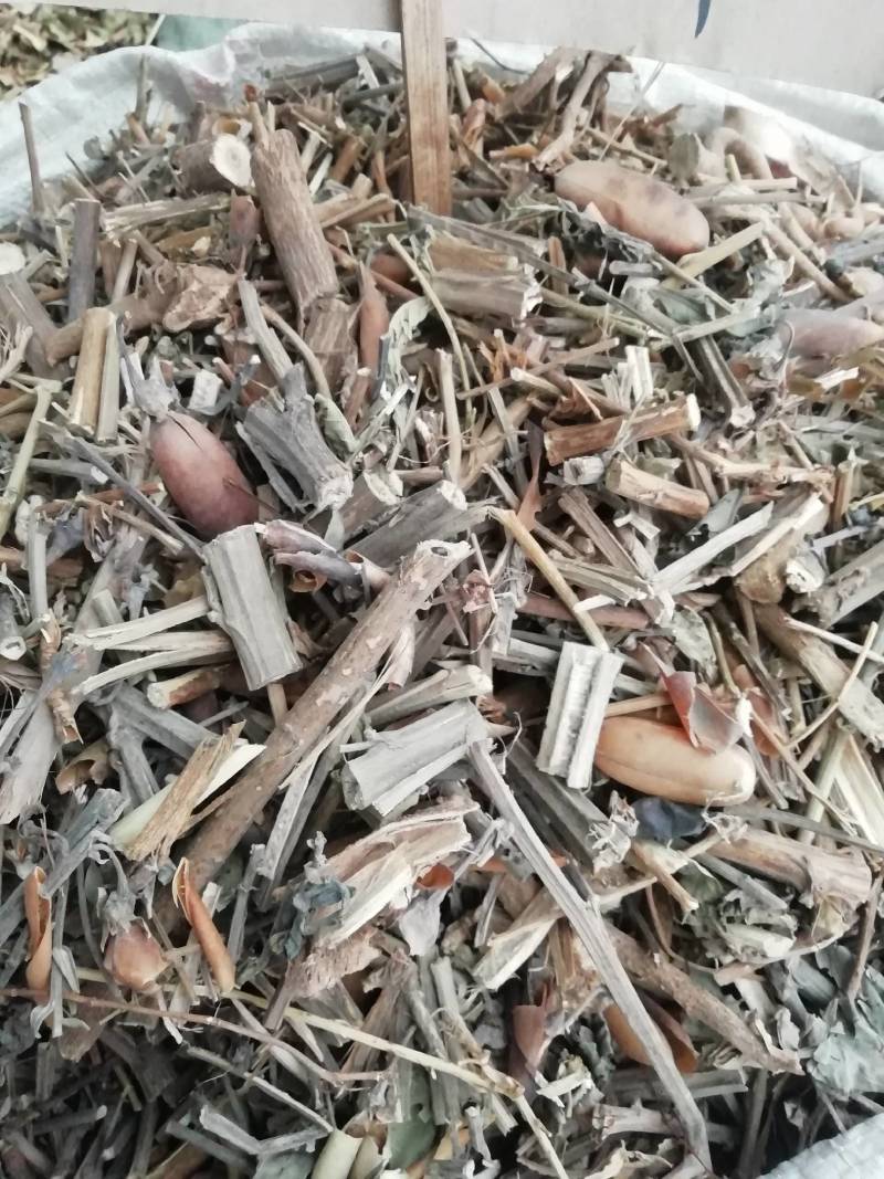 野生中药材响铃草马响铃马铃草假花生新鲜干货
