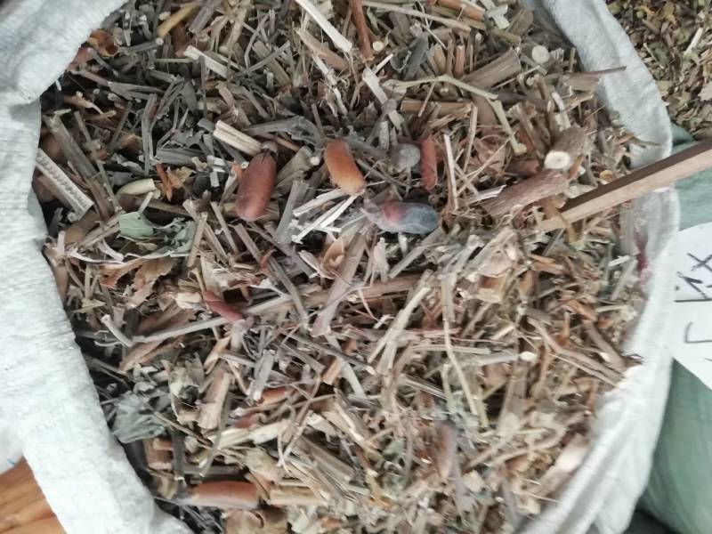 野生中药材响铃草马响铃马铃草假花生新鲜干货