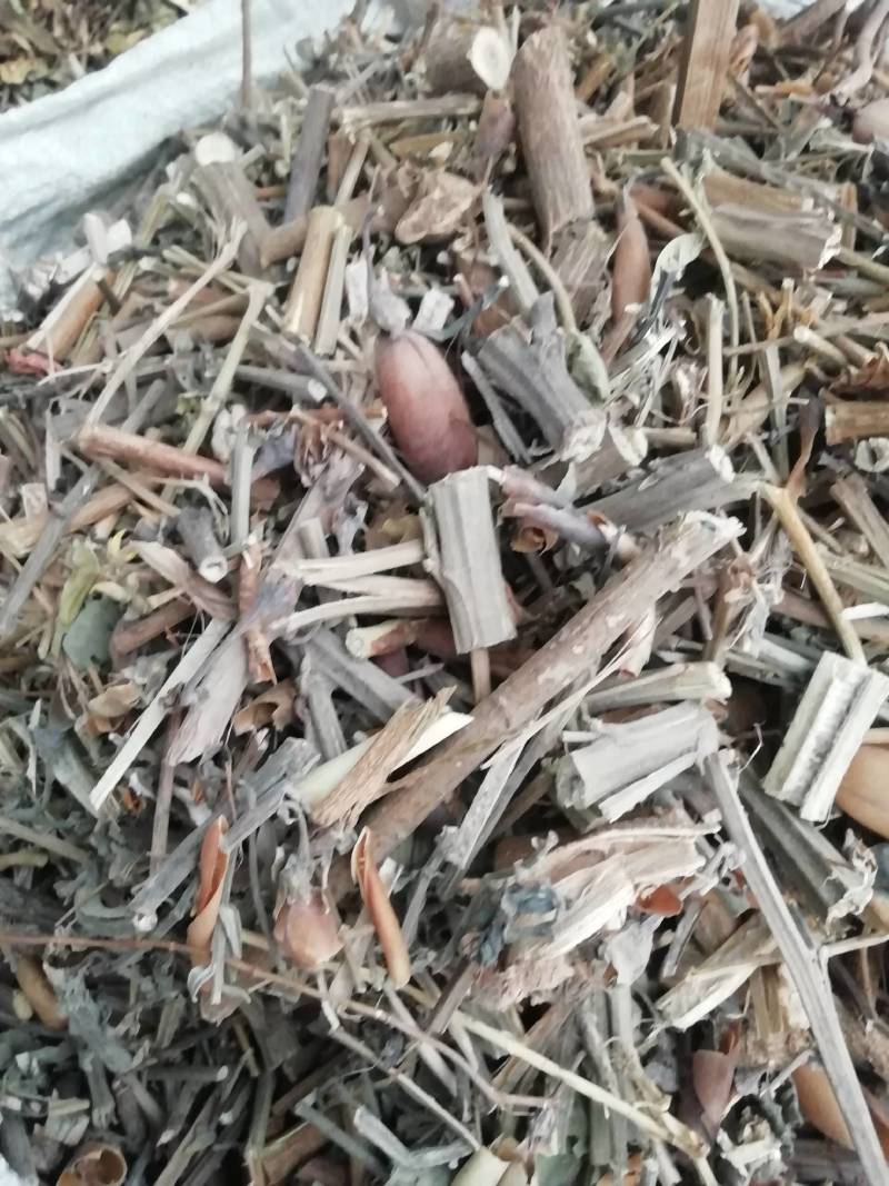 野生中药材响铃草马响铃马铃草假花生新鲜干货
