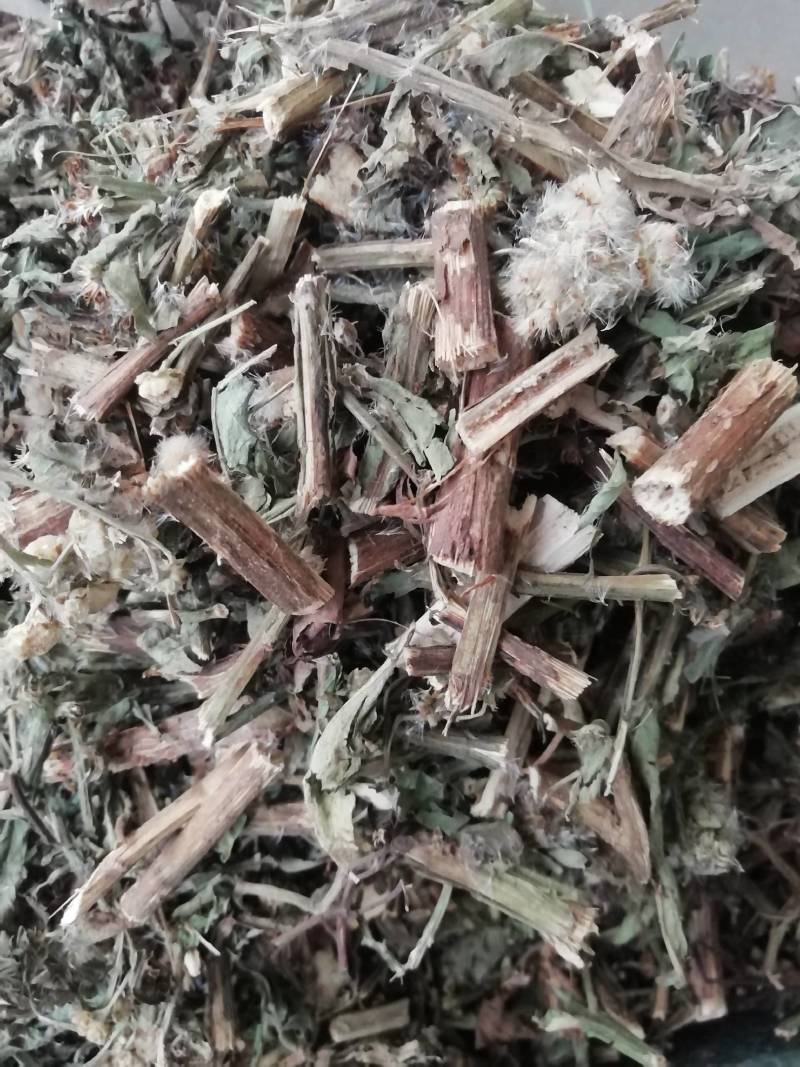 六耳棱中药材六耳零，百草王鹿耳翎六棱菊六耳铃