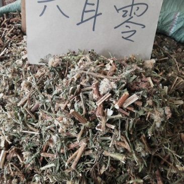 六耳棱中药材六耳零，百草王鹿耳翎六棱菊六耳铃