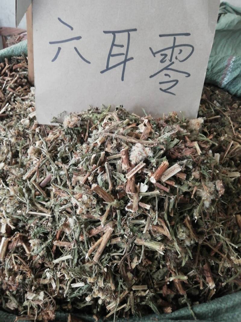 六耳棱中药材六耳零，百草王鹿耳翎六棱菊六耳铃