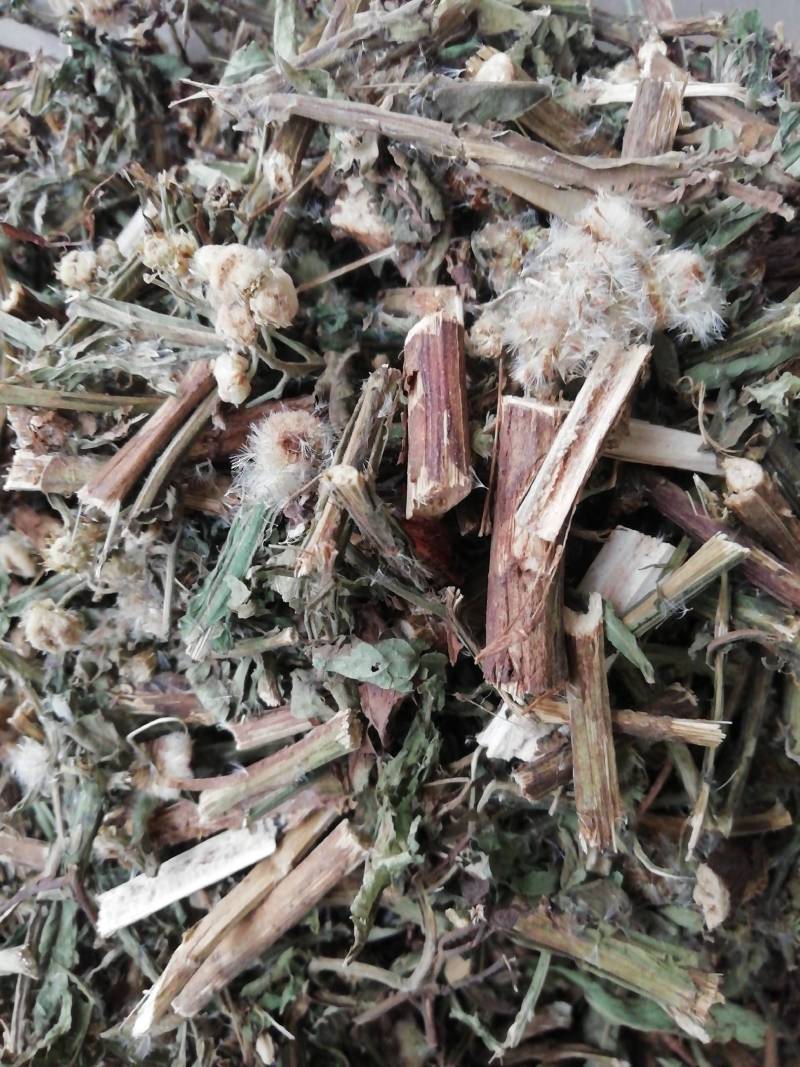 六耳棱中药材六耳零，百草王鹿耳翎六棱菊六耳铃