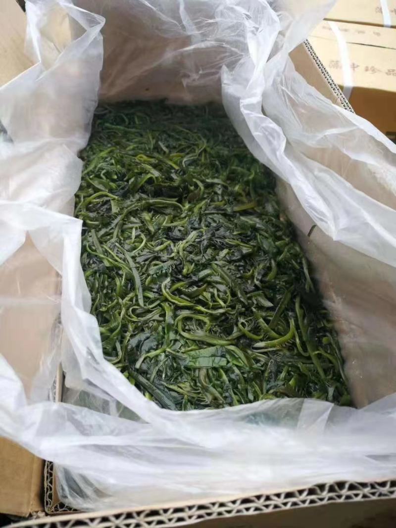 海芽菜300克*30袋，睫毛菜10公斤/箱