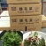 海芽菜300克*30袋，睫毛菜10公斤/箱