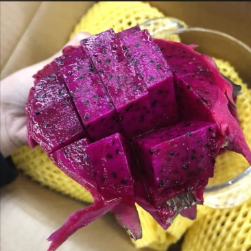 海南火龙果基地直接供货