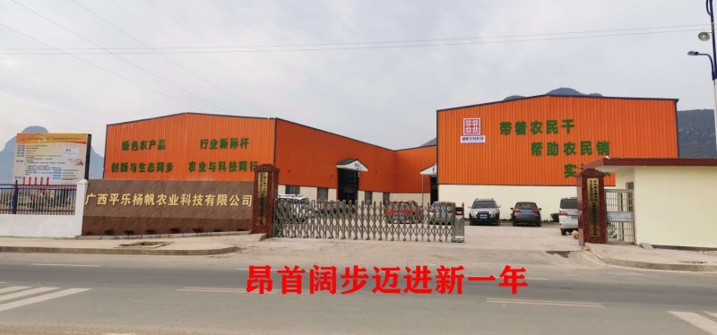 广西桂林倒蒸红薯干软糯香甜零添加工厂直卖常年大量货源直供