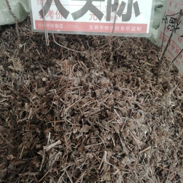 中药材千捶草大头陈，整条大头陈都有货