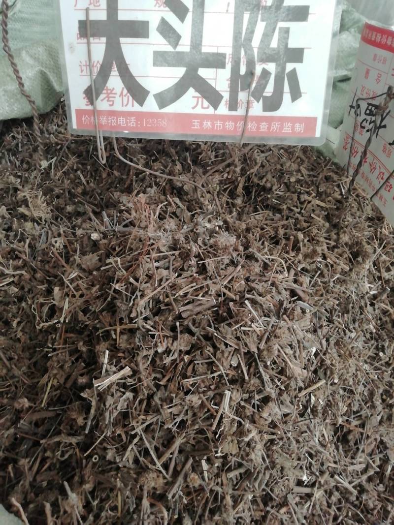 中药材千捶草大头陈，整条大头陈都有货