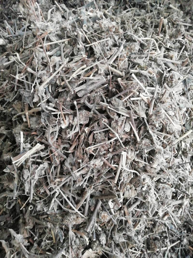 中药材千捶草大头陈，整条大头陈都有货