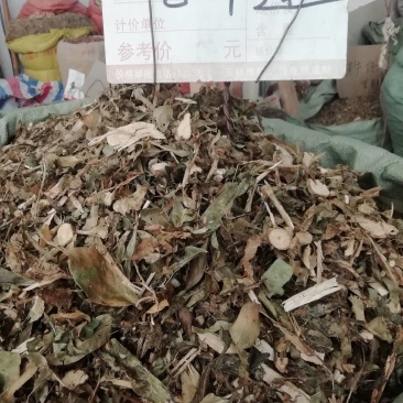 中药材七叶莲中草药七叶连多蕊木汉桃叶
