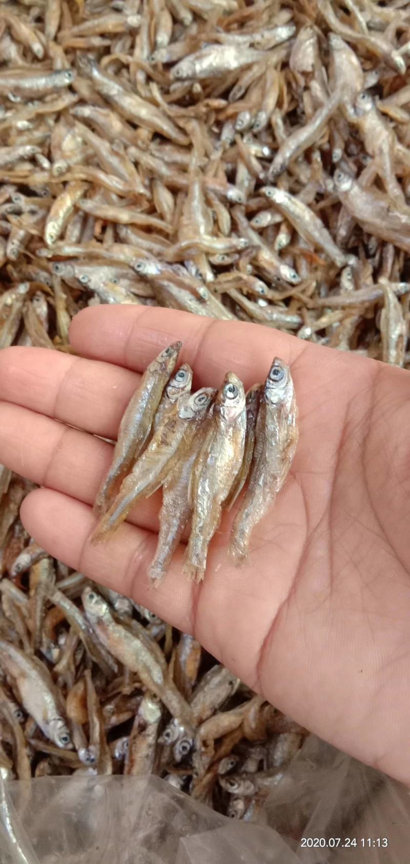 油炸小白肖不开肚不苦油炸白肖鱼大量供应油炸小鱼干