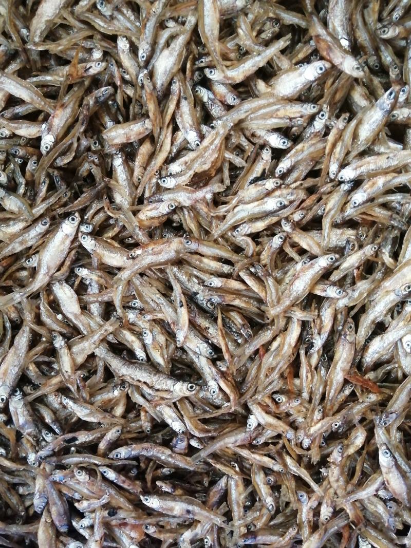 油炸小白肖不开肚不苦油炸白肖鱼大量供应油炸小鱼干