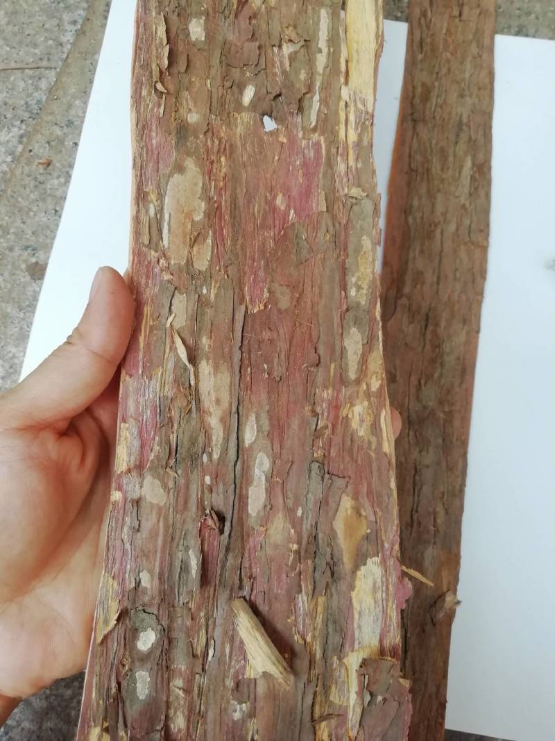 野生红豆皮，红杉皮，批发加零售