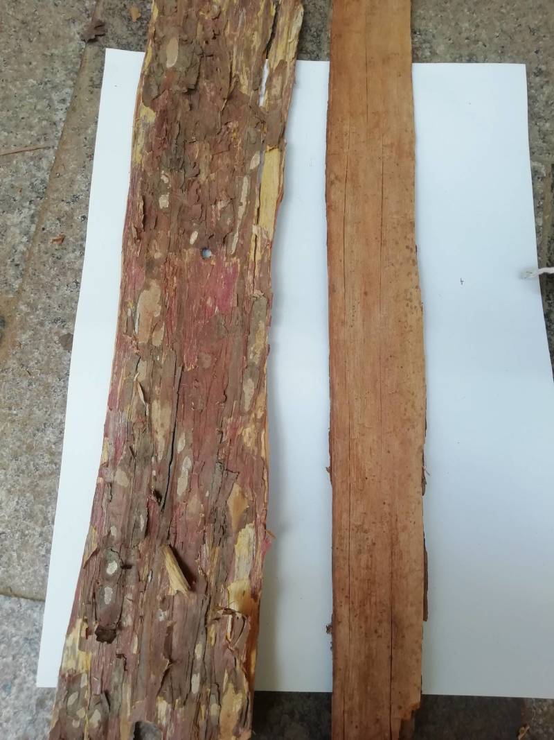 野生红豆皮，红杉皮，批发加零售