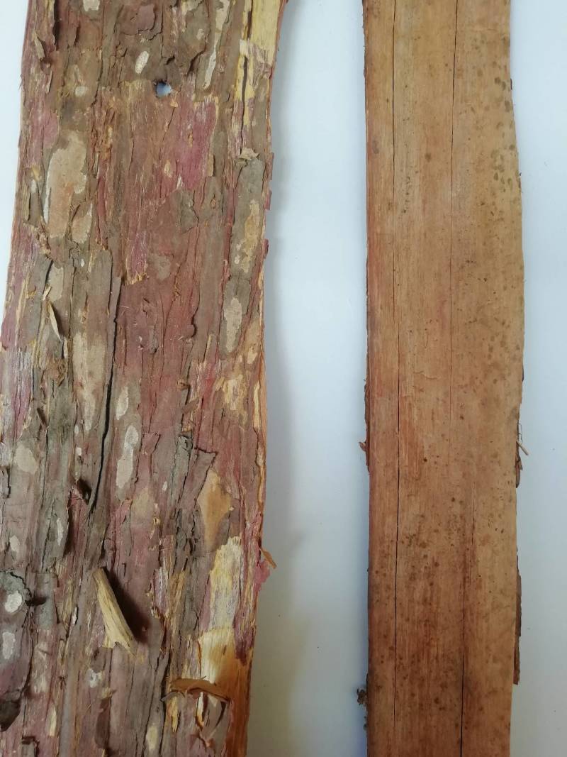 野生红豆皮，红杉皮，批发加零售