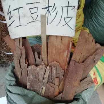 野生红豆皮，红杉皮，批发加零售