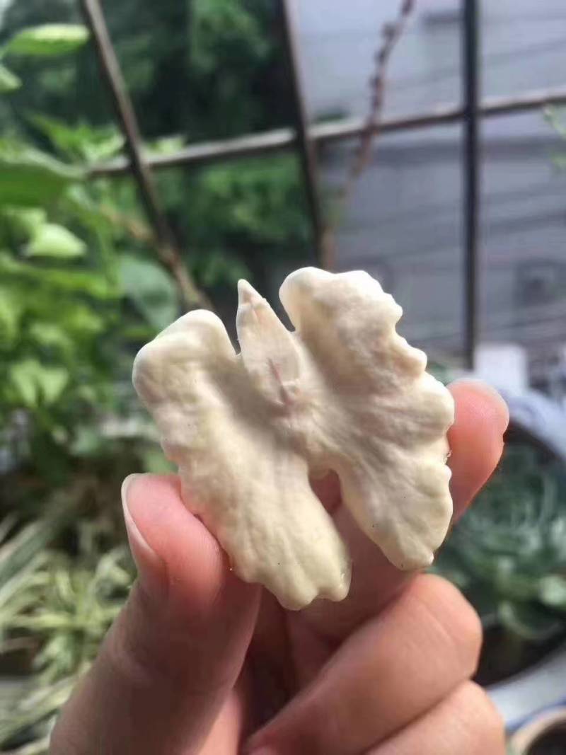 盐源苹果，批发零售需要的联系我