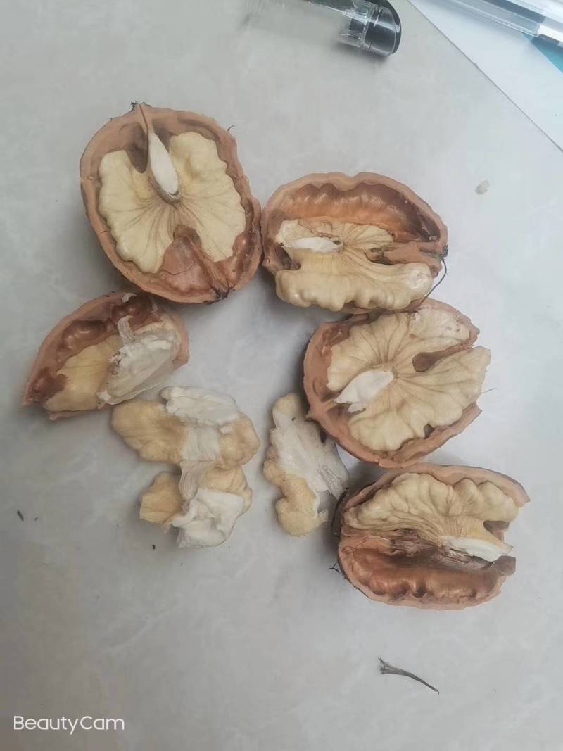 盐源苹果，批发零售需要的联系我