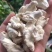 盐源苹果，批发零售需要的联系我