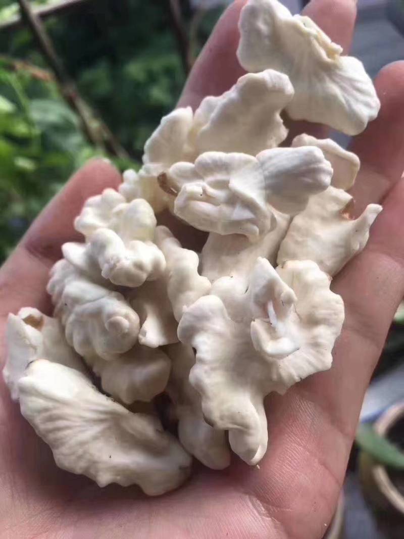 盐源苹果，批发零售需要的联系我