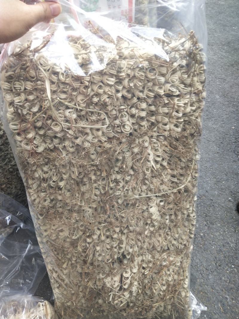 灯芯草一包10扎灯心草如图灯芯草一袋灯心草