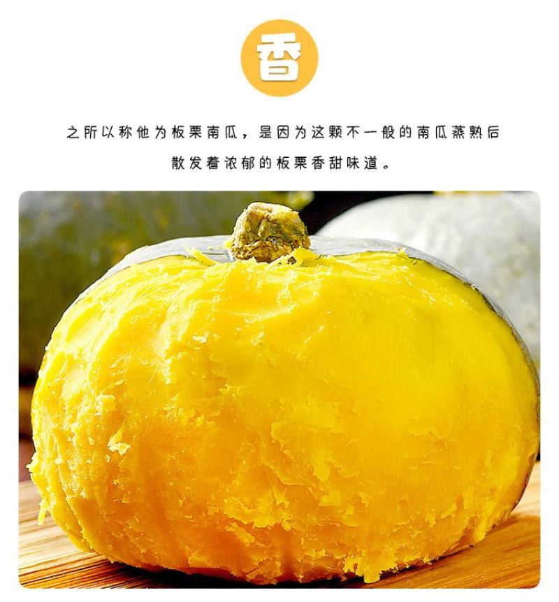 一件代发新疆银板栗南瓜两种规格新鲜上市口感绵密