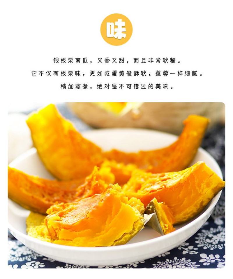 一件代发新疆银板栗南瓜两种规格新鲜上市口感绵密