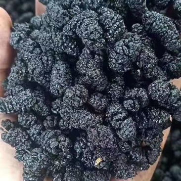 桑葚干，一级货，产地一手货源。