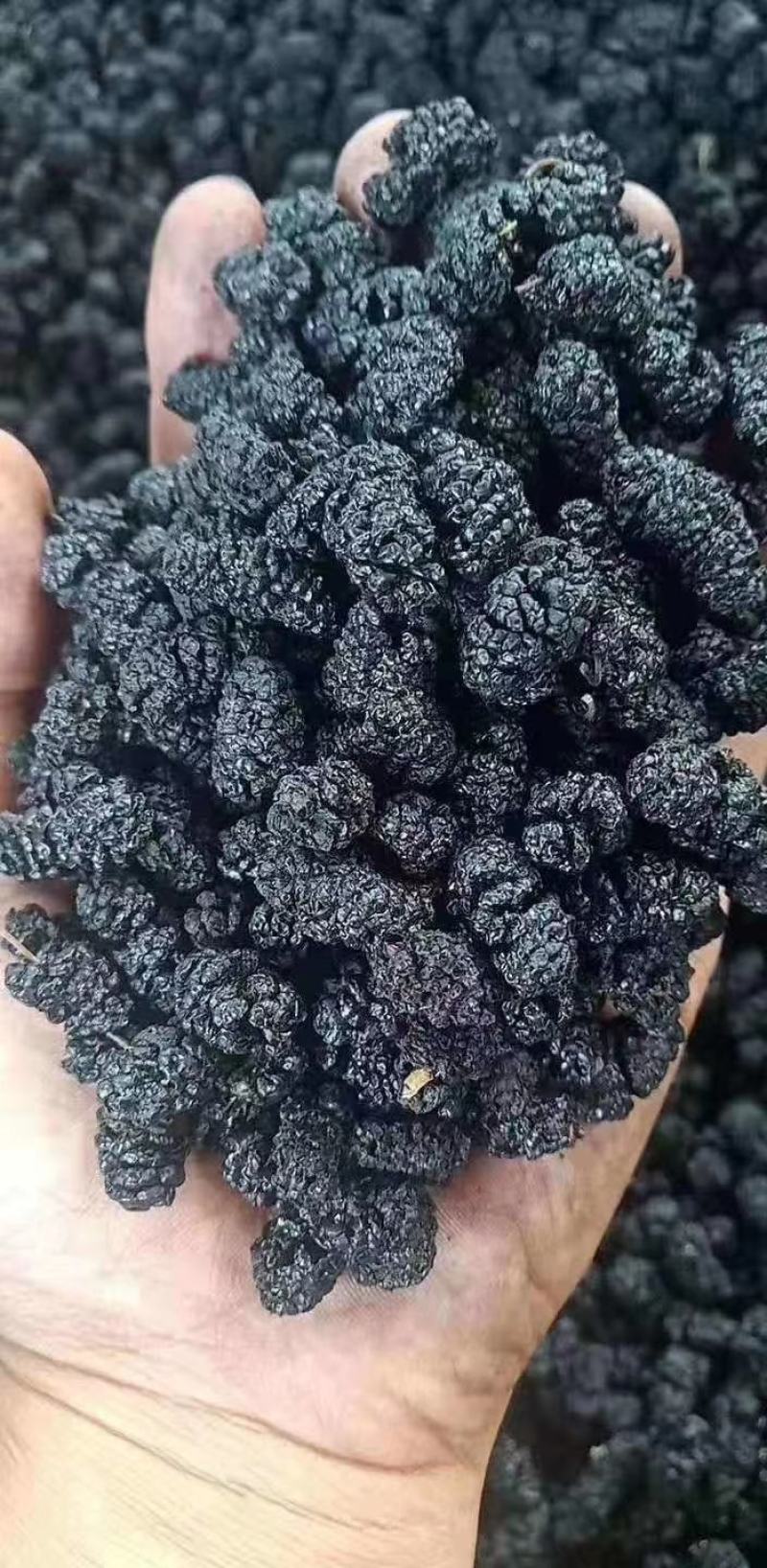 桑葚干，一级货，产地一手货源。
