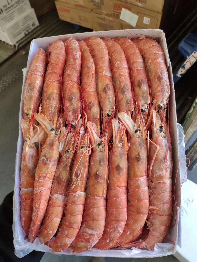 红虾冰冻虾大虾冷冻海捕大虾海鲜水产批发