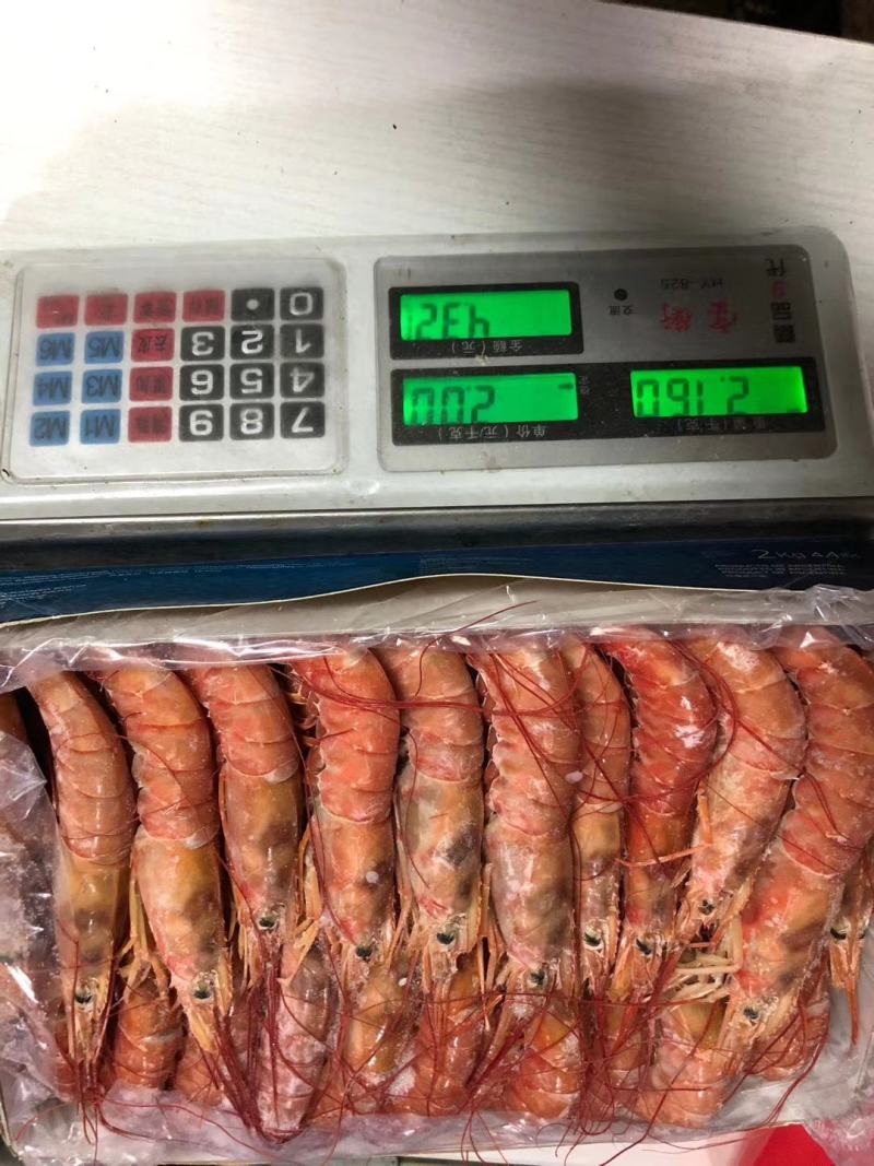 红虾冰冻虾大虾冷冻海捕大虾海鲜水产批发