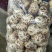 泌阳花菇甲天下精品花菇正在加工待发中大量供应原产地货源