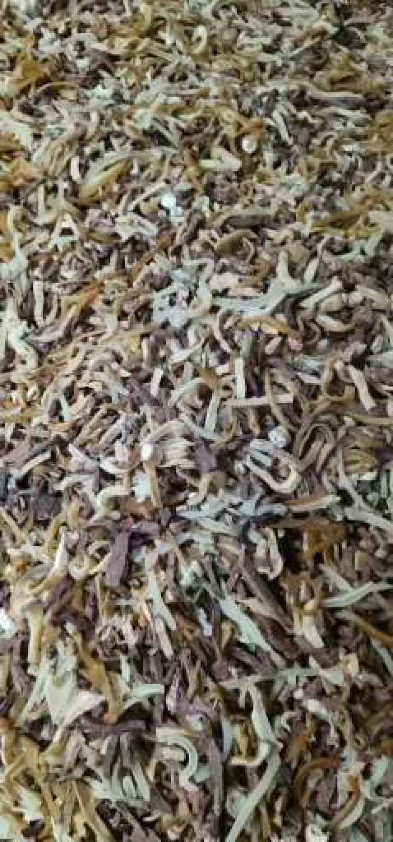 精品牛杂，价格美丽，无异味，比例好，量大从优
